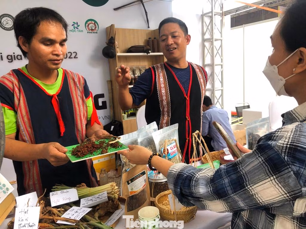 Ngày 28/4, tại TPHCM, Hội doanh nghiệp Hàng Việt Nam chất lượng cao đã khai mạc lễ hội “Tinh hoa gia vị Việt”. Hơn 1.000 sản phẩm gia vị từ các vùng miền đã có mặt tại lễ hội phục vụ du khách tham quan, tìm hiểu. Đặc biệt, lễ hội còn những sản phẩm mới chế biến từ gia vị tươi thành ra những sản phẩm xuất khẩu độc đáo, mang đến kỳ vọng đóng góp vào nền kinh tế gia vị của nông nghiệp Việt Nam. Ngày 28/4, tại TPHCM, Hội doanh nghiệp Hàng Việt Nam chất lượng cao đã khai mạc lễ hội “Tinh hoa gia vị Việt”. Hơn 1.000 sản phẩm gia vị từ các vùng miền đã có mặt tại lễ hội phục vụ du khách tham quan, tìm hiểu. Đặc biệt, lễ hội còn những sản phẩm mới chế biến từ gia vị tươi thành ra những sản phẩm xuất khẩu độc đáo, mang đến kỳ vọng đóng góp vào nền kinh tế gia vị của nông nghiệp Việt Nam.