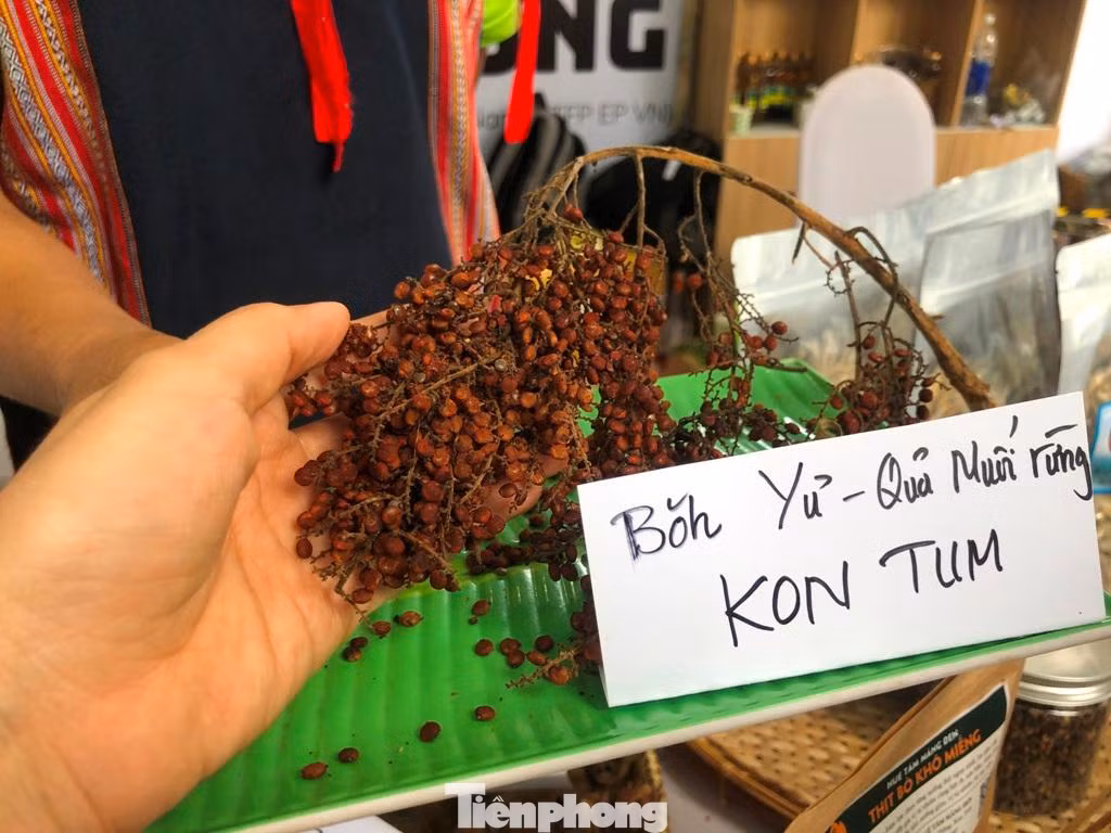 Quả muối rừng, một đặc sản ở Kon Tum thu hút nhiều tò mò của khách hàng bởi "độc, lạ" và còn hiếm có - khó kiếm. Theo lời người bán, quả muối rừng lúc còn non phủ màu trắng như muối, già sẽ có màu nâu. Quả có vị chua, mặn dùng để ướp thịt khi chế biến món ăn. Quả muối rừng, một đặc sản ở Kon Tum thu hút nhiều tò mò của khách hàng bởi "độc, lạ" và còn hiếm có - khó kiếm. Theo lời người bán, quả muối rừng lúc còn non phủ màu trắng như muối, già sẽ có màu nâu. Quả có vị chua, mặn dùng để ướp thịt khi chế biến món ăn.
