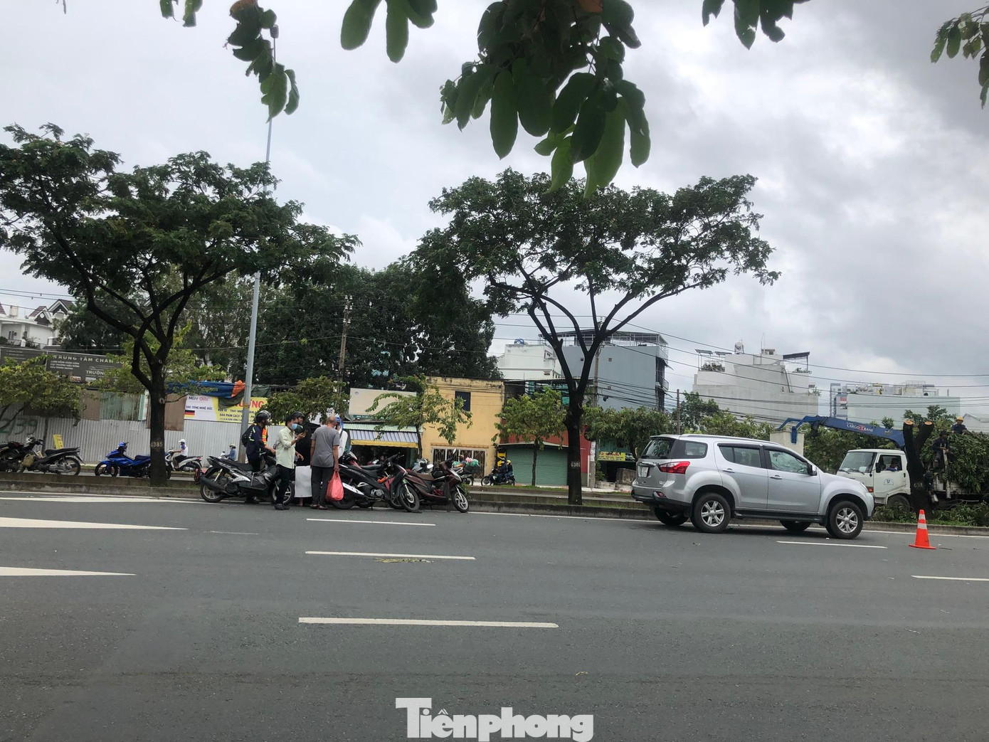 Một xe ô tô bị cây ngã đè hư hỏng trên đường