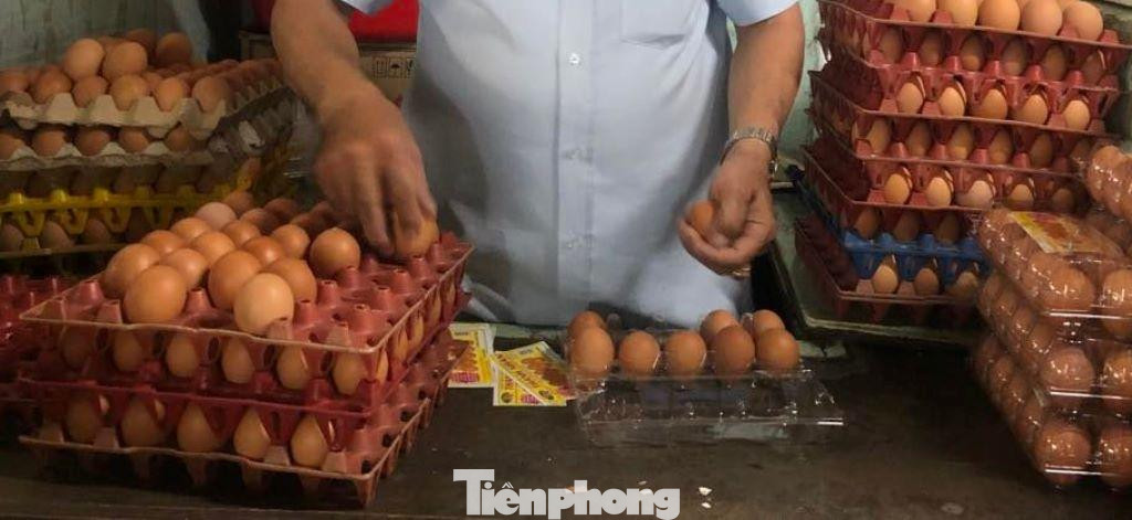 Trứng gà, vịt giá bình ổn đã tăng giá Trứng gà, vịt giá bình ổn đã tăng giá