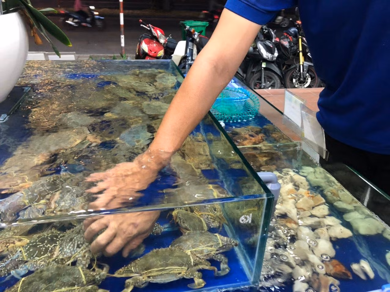 Trước lễ, ghẹ xanh tăng giá kỷ lục với gần 800.000 đồng/kg