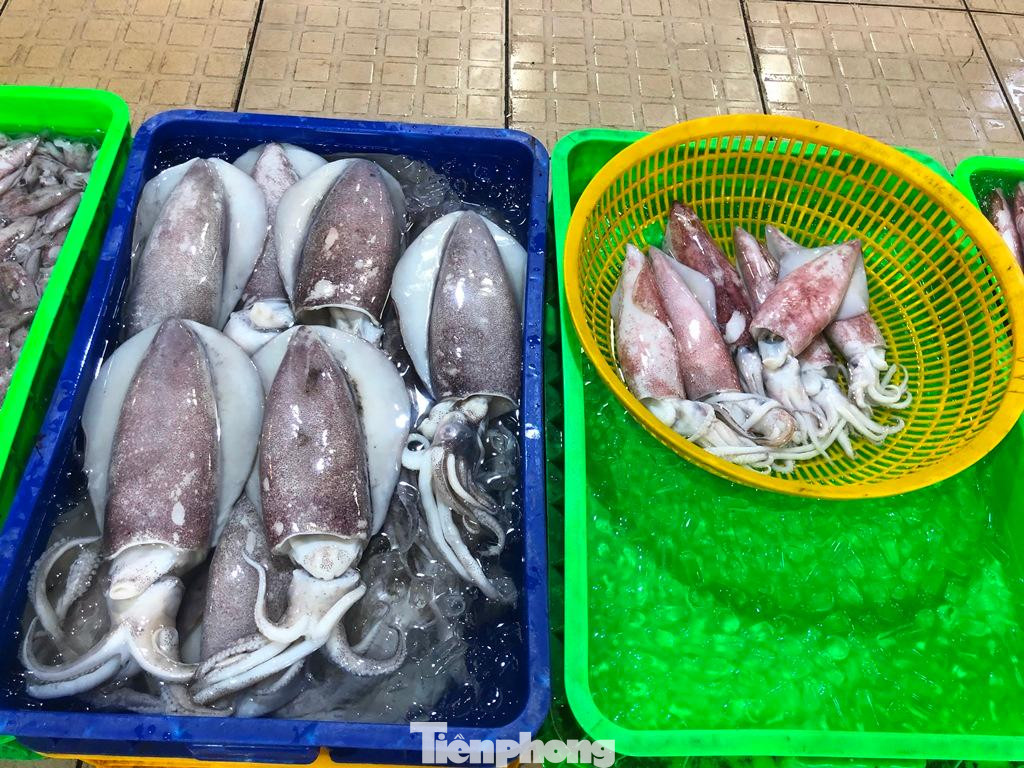 Mực tươi ngon bày hàng chờ khách Mực tươi ngon bày hàng chờ khách