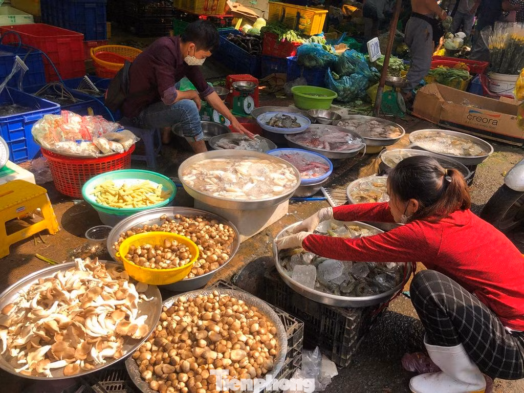 Nấm tươi giá trung bình từ 100.000-180.000 đồng/kg; trong khi các loại hải sản khá vắng khách...