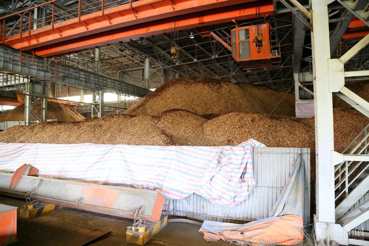 Một phần bên trong nhà máy đã được cho đơn vị khác thuê để làm kho chứa dăm gỗ. Một phần bên trong nhà máy đã được cho đơn vị khác thuê để làm kho chứa dăm gỗ.