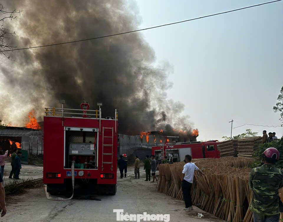 Khoảng 14h thì đám cháy được khống chế.