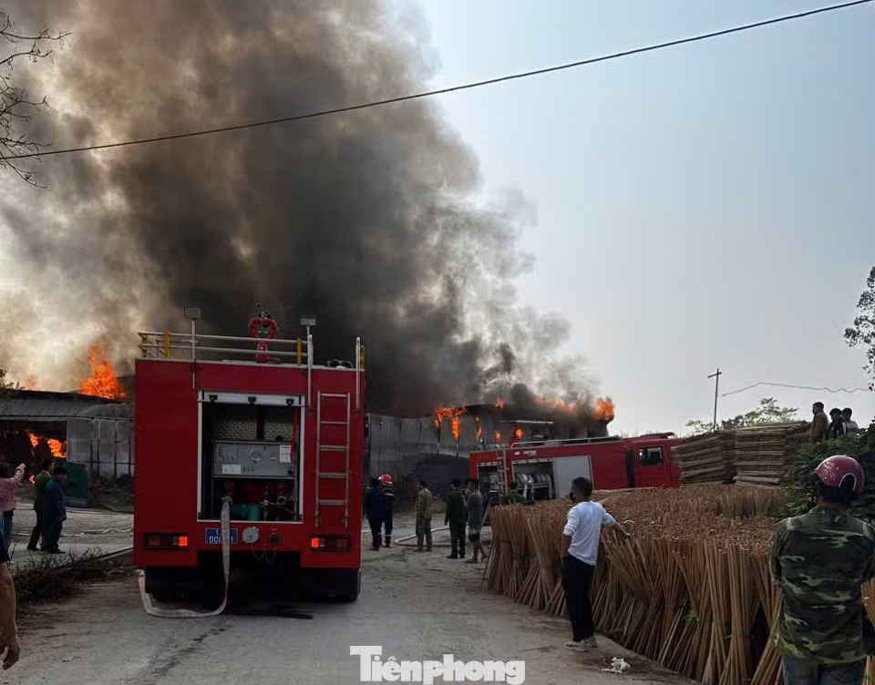 Khoảng 14h thì đám cháy được khống chế.