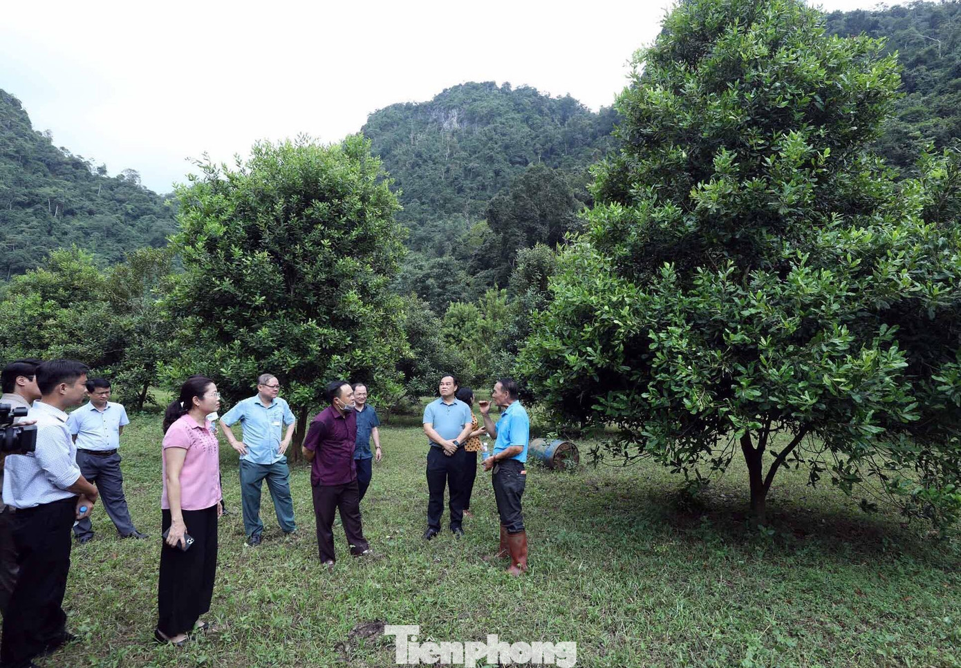 Lãnh đạo tỉnh Lạng Sơn, các ngành chức năng địa phương kiểm tra mô hình phát triển nông- lâm nghiệp ở các huyện trên địa bàn -Ảnh: PV