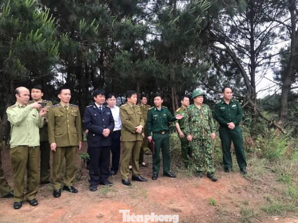 Ban chỉ đạo 389 tỉnh Lạng Sơn cùng lực lượng chức năng ở cửa khẩu Chi Ma (huyện Lộc Bình) tăng cường kiểm tra, kiểm soát hoạt động buôn lậu, vận chuyển trái phép hàng hóa qua biên giới .Ảnh: TL