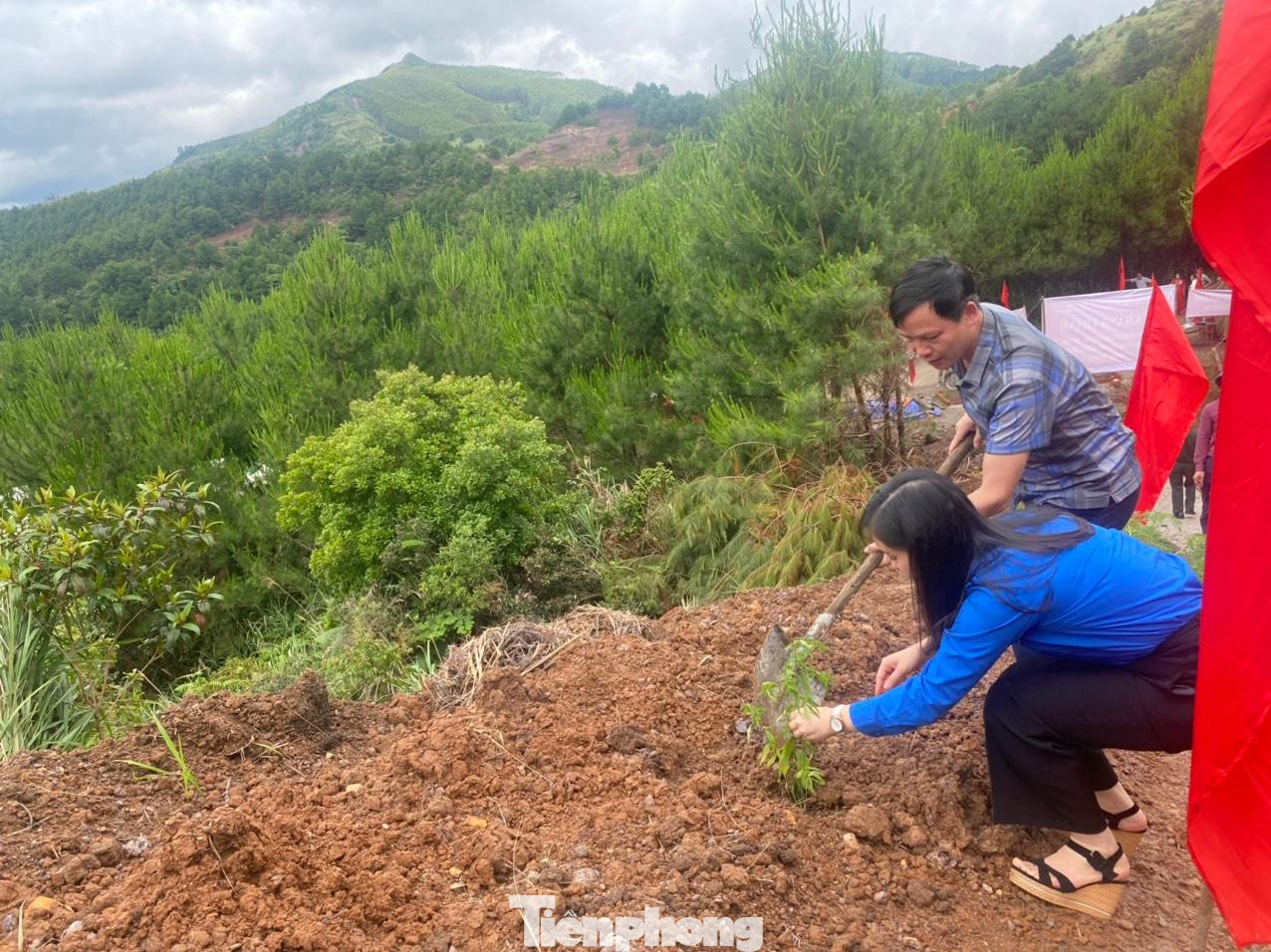 Trồng cây "Phủ xanh biên cương" ở khu vực biên giới Bắc Xa Trồng cây "Phủ xanh biên cương" ở khu vực biên giới Bắc Xa