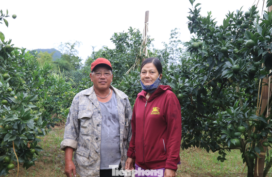 Vợ chồng ông Dũng đồng tâm, hiệp lực xây dựng kinh tế gia đình từ mô hình trồng cam canh trên đất Bắc Sơn -Ảnh: PV