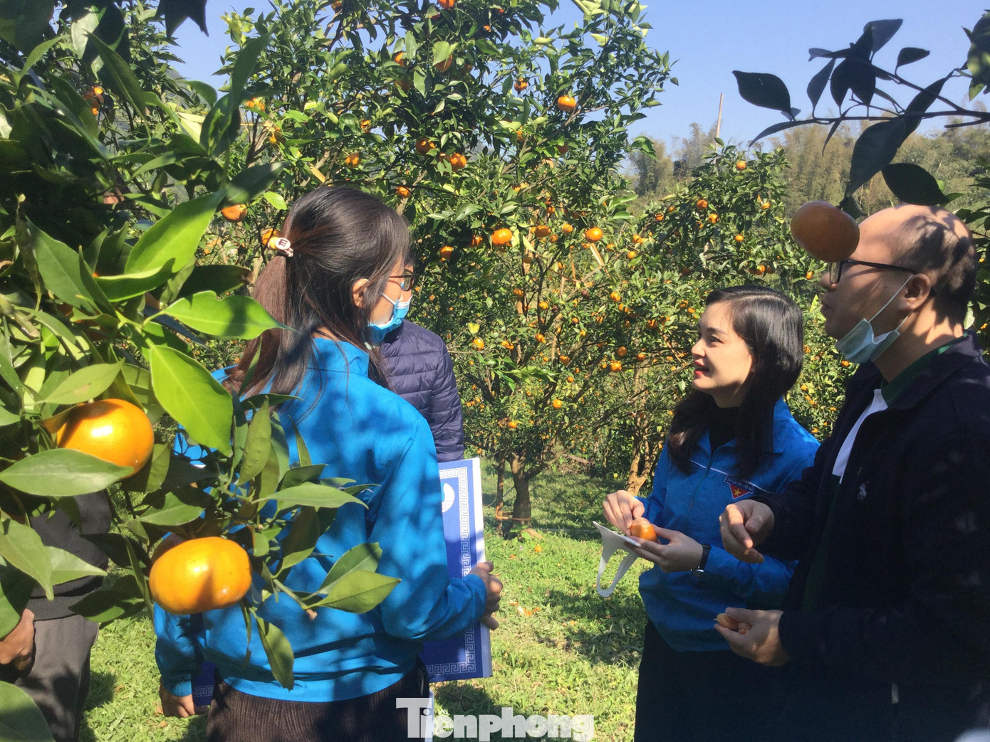Mô hình trồng cam canh trên địa bàn huyện Bắc Sơn được các cấp bộ Đoàn tham quan, học hỏi -Ảnh: Duy Chiến