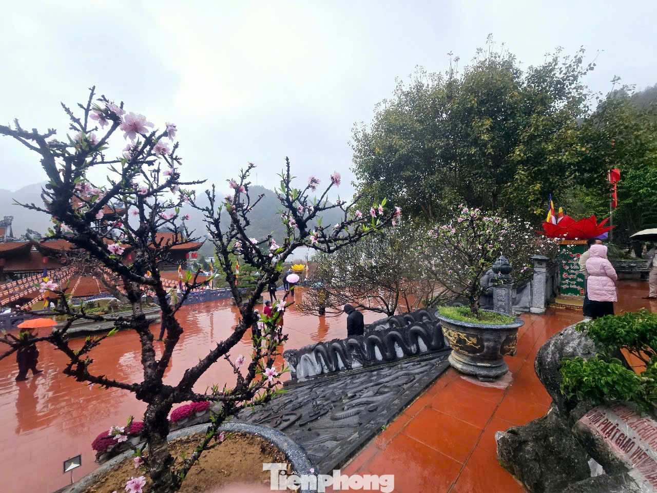 Mặc dù trời mưa, cảnh sắc tươi tốt nơi biên ải.