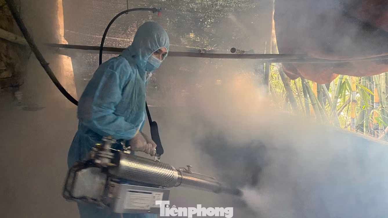 Đơn vị chức năng ở Lạng Sơn phun tiêu độc khử trùng khu chuồng trại, khống chế dịch bệnh lây lan.