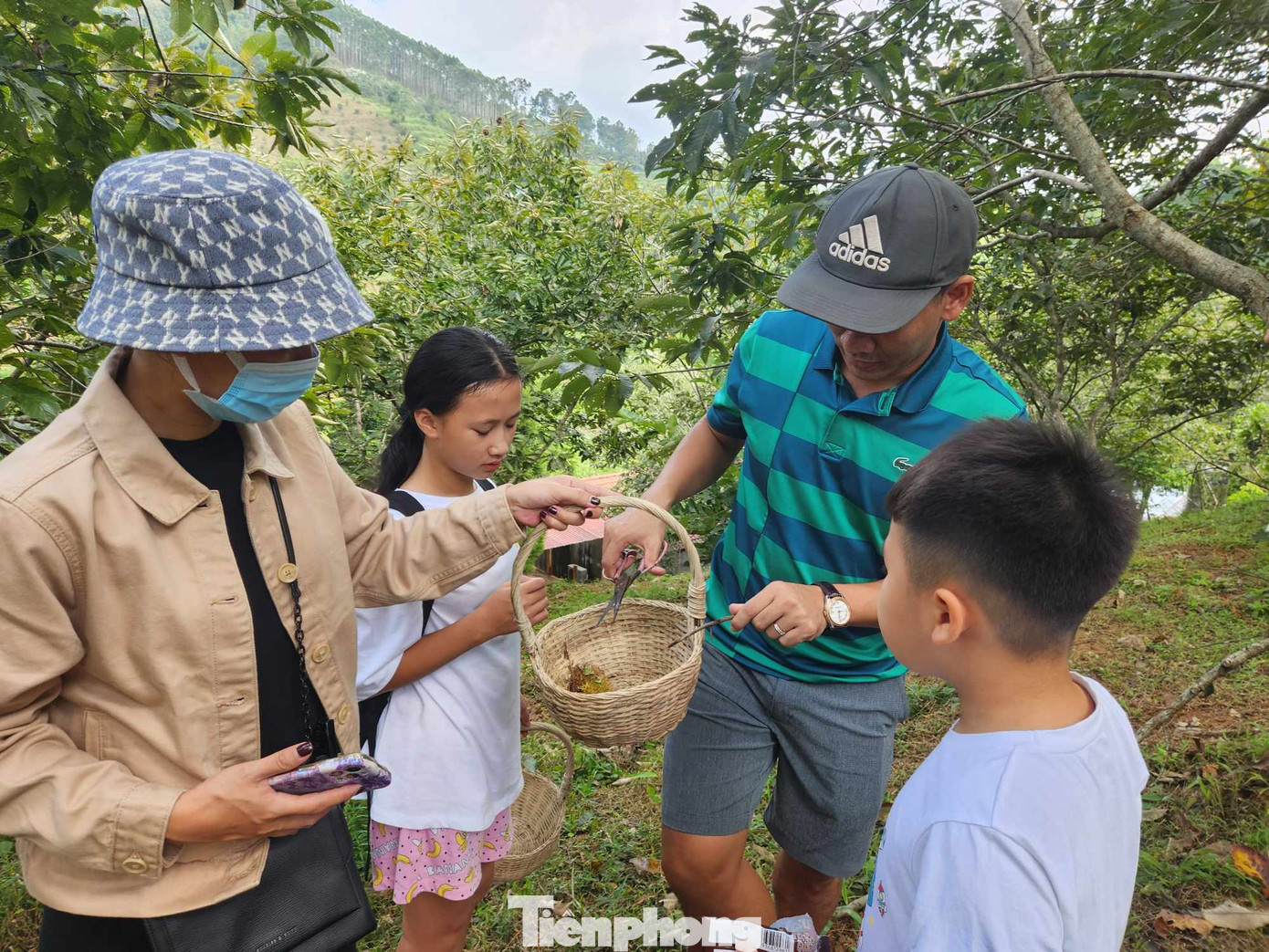 Các du khách trải nghiệm tại vườn dẻ Quảng Lạc. Ảnh: Duy Chiến Các du khách trải nghiệm tại vườn dẻ Quảng Lạc. Ảnh: Duy Chiến