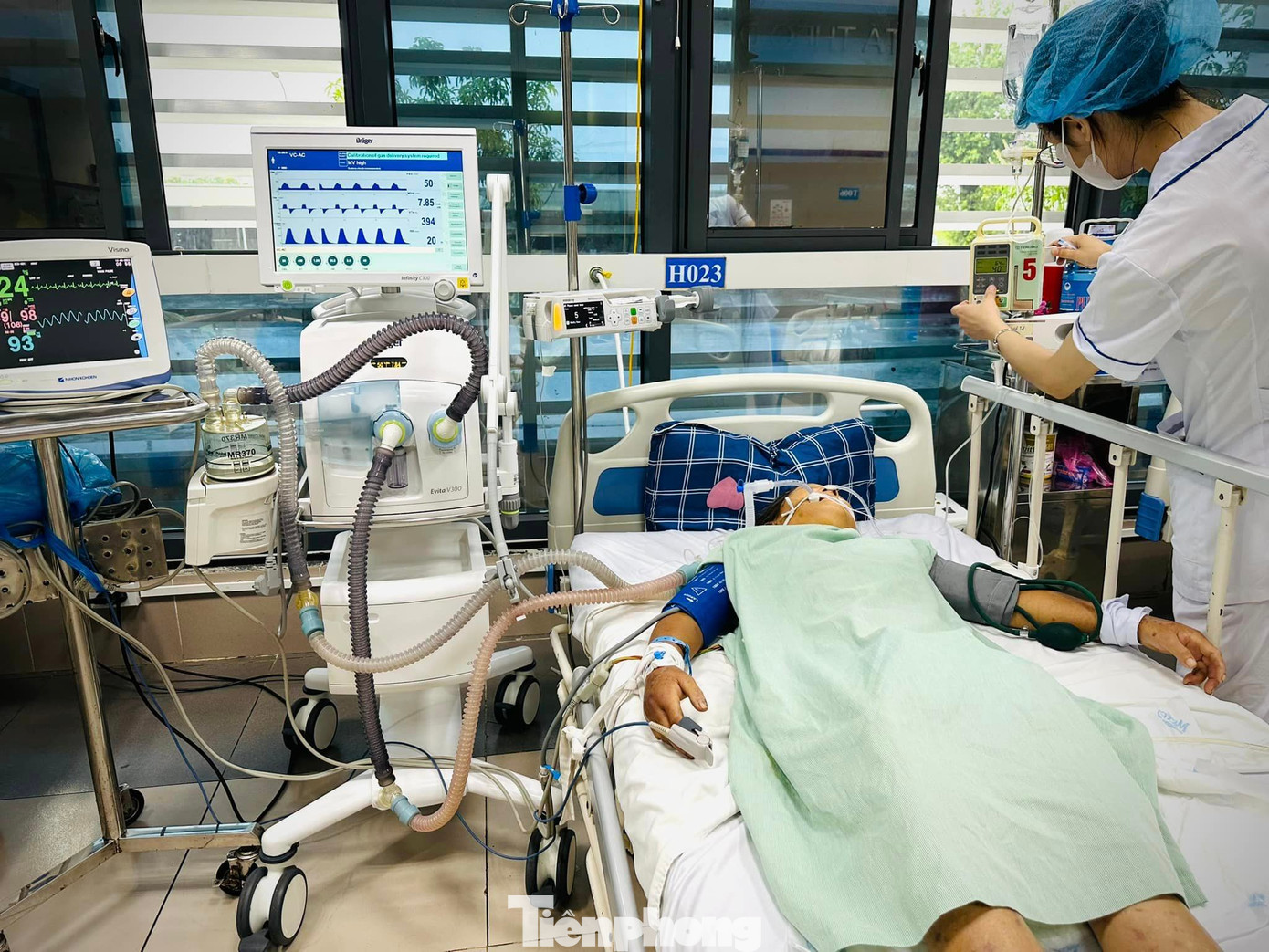 Cấp cứu bệnh nhân bị ong đốt suy đa tạng ở bệnh viện đa khoa Lạng Sơn.