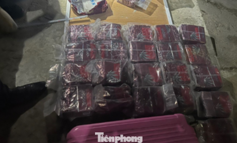 Tang vật 30 kg ma túy đá. Tang vật 30 kg ma túy đá.