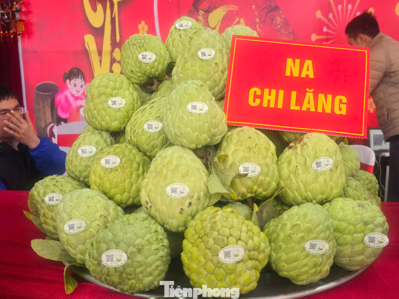 Na trái vụ được gọi bằng cái tên mỹ miều "Na Hoàng hậu" được người dân huyện Chi Lăng trồng trên núi đá Kai Kinh. Đây là sản phẩm OCOP nổi tiếng của người xứ Lạng .Ảnh: Duy Chiến.