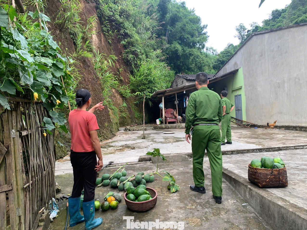 Giúp dân sơ tán hoa màu, đồ đạc, tài sản đến nơi an toàn