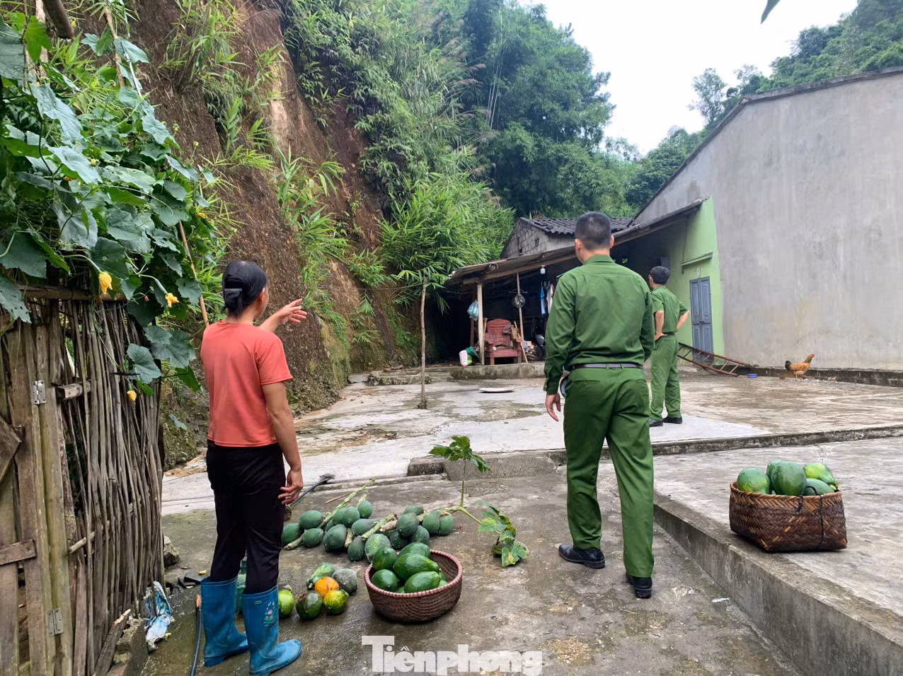 Giúp dân sơ tán hoa màu, đồ đạc, tài sản đến nơi an toàn