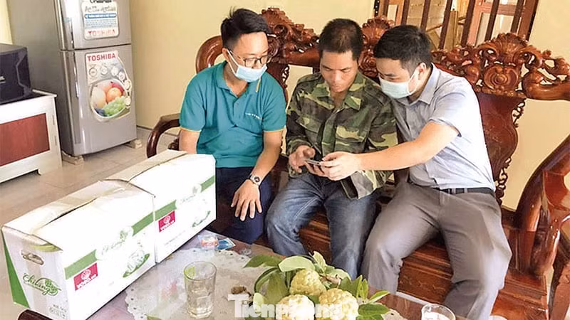 Hướng dẫn người dân Chi Lăng quảng bá quả na trên nền tảng mạng xã hội.