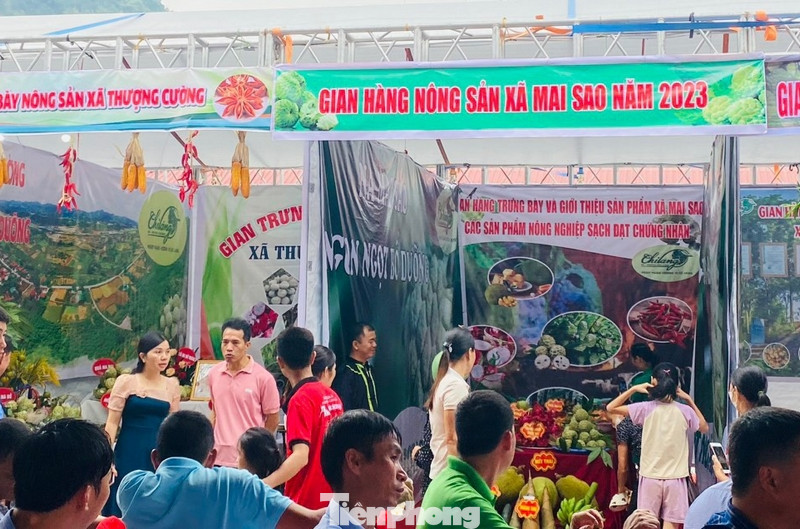 Với phương châm “cầm tay chỉ việc”, hỗ trợ 24/7, đoàn viên, thanh niên các tổ công nghệ số cộng đồng đã hỗ trợ hàng nghìn nông dân quảng bá, tiêu thụ sản phẩm trên các nền tảng mạng xã hội. Với phương châm “cầm tay chỉ việc”, hỗ trợ 24/7, đoàn viên, thanh niên các tổ công nghệ số cộng đồng đã hỗ trợ hàng nghìn nông dân quảng bá, tiêu thụ sản phẩm trên các nền tảng mạng xã hội.