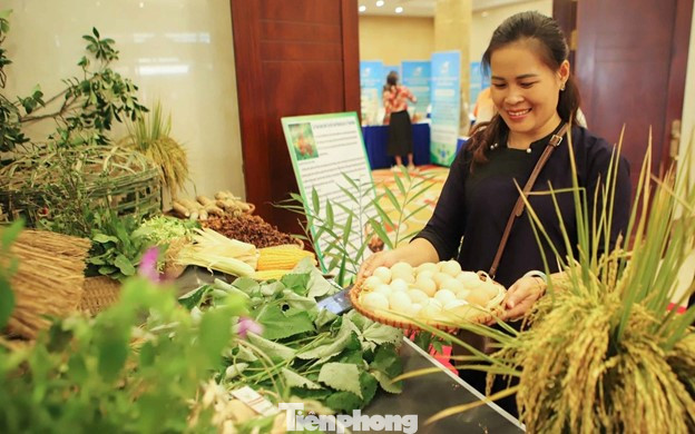 Trưng bày, giới thiệu các đặc sản vùng miền Lạng Sơn tới các du khách thập phương. Trưng bày, giới thiệu các đặc sản vùng miền Lạng Sơn tới các du khách thập phương.