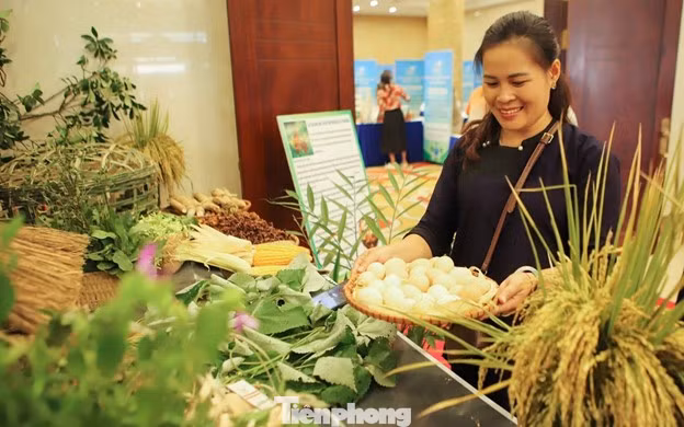 Trưng bày, giới thiệu các đặc sản vùng miền Lạng Sơn tới các du khách thập phương.