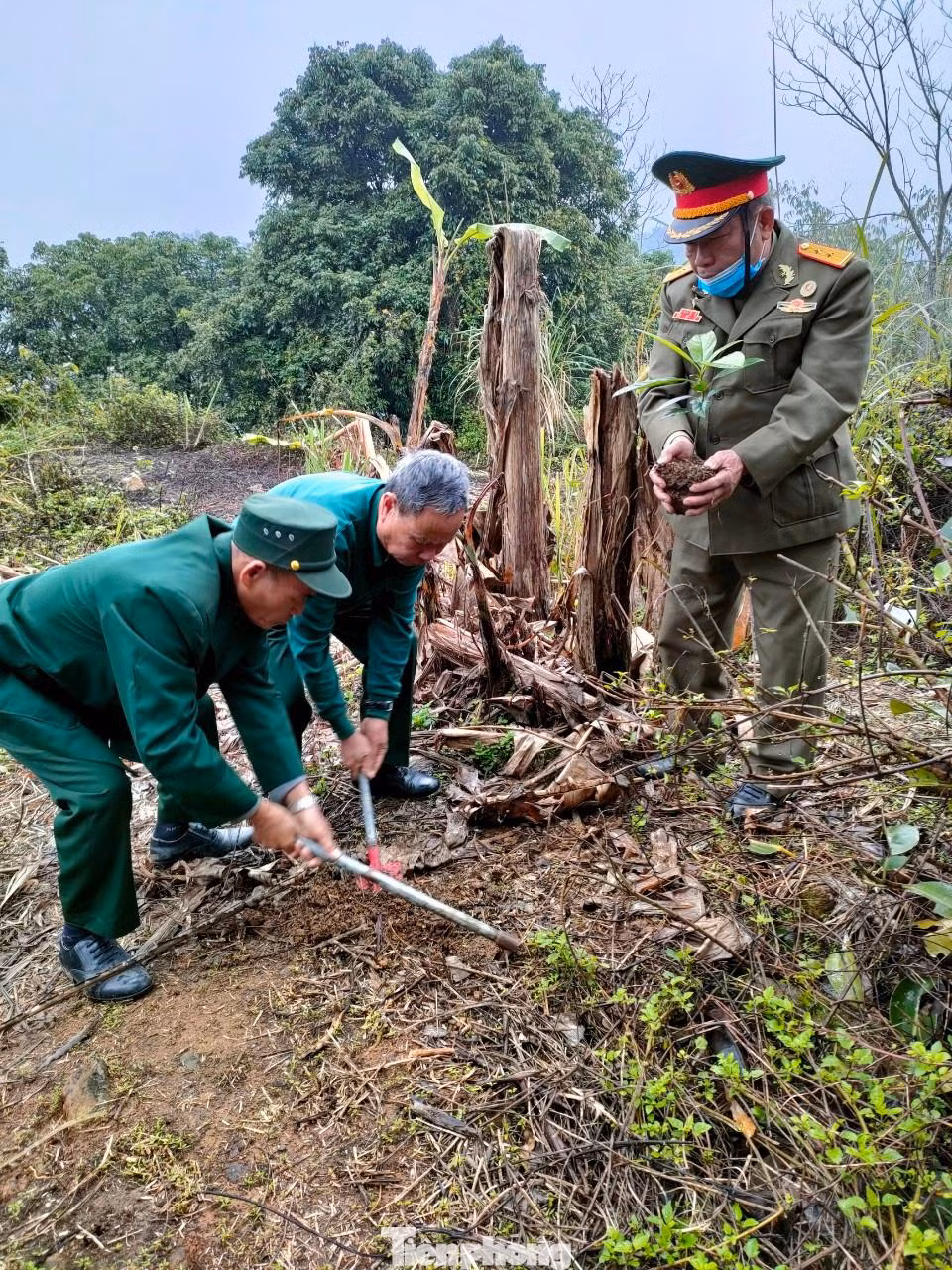 Các cựu chiến binh từng chiến đấu ở mặt trận Lạng Sơn năm 1979 trồng cây ở pháo đài Đồng Đăng, trưa 17/2/2022. Ảnh: Duy Chiến