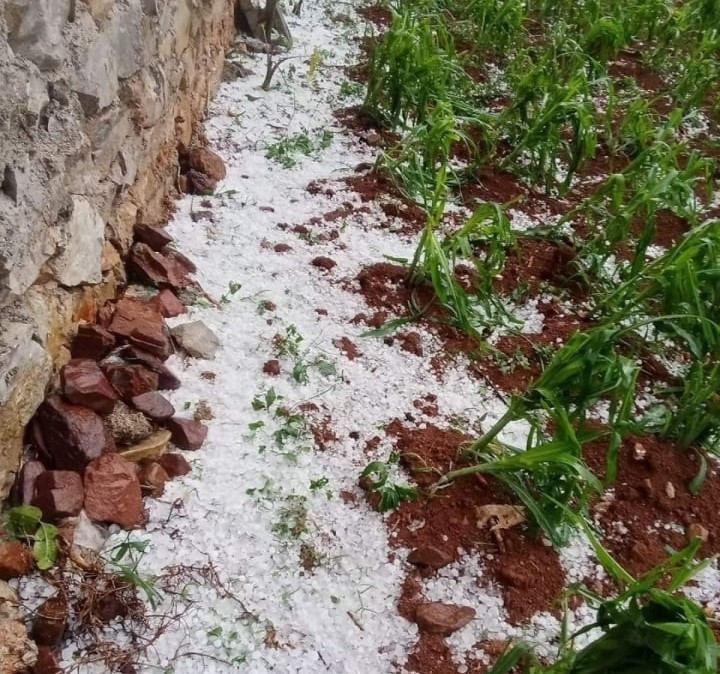 Hiện tượng mưa đá bất thường ở vùng núi Cao Bằng. Ảnh: QĐ