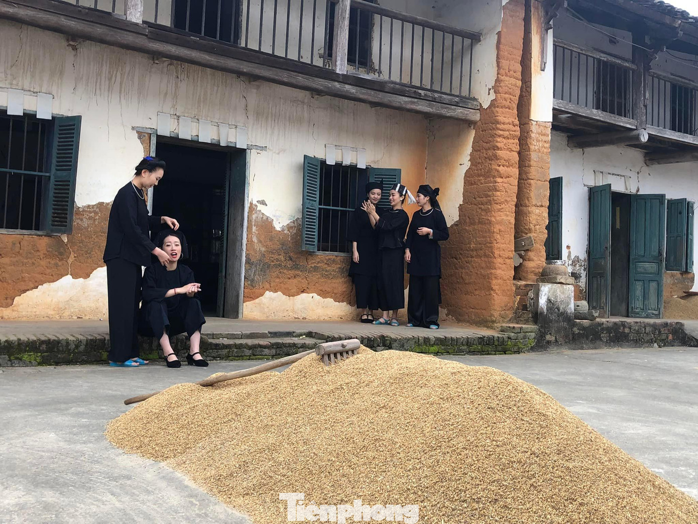 Ngày mùa của các cô gái người Tày vùng biên giới Lạng Sơn -Ảnh: M.H Ngày mùa của các cô gái người Tày vùng biên giới Lạng Sơn -Ảnh: M.H