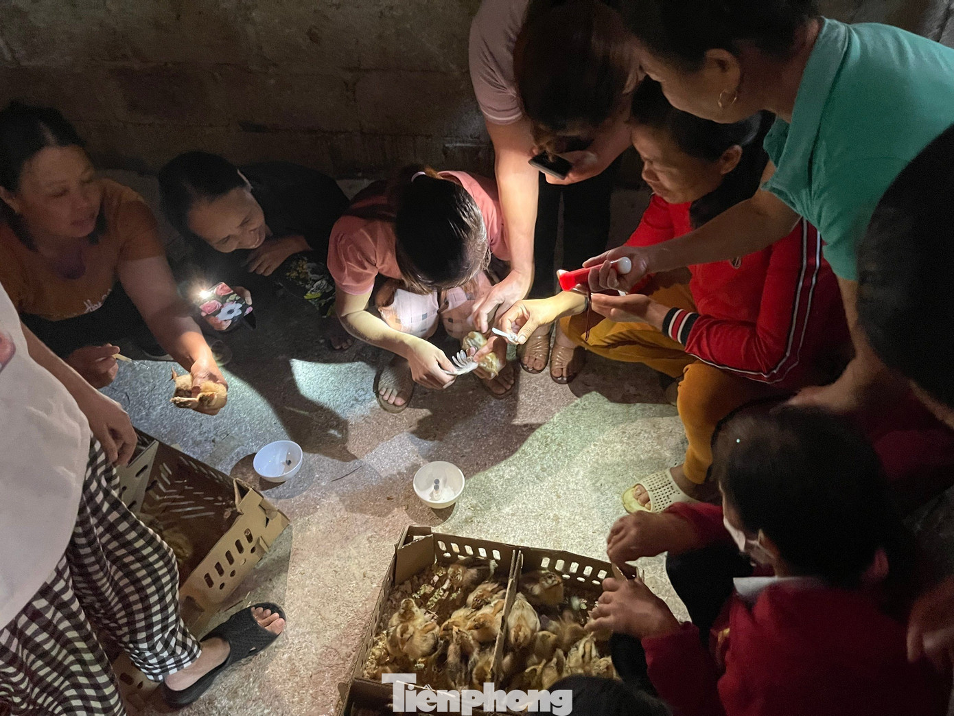 Học chăn nuôi gia cầm do Trung tâm GDNN-GDTX Cao Lộc thu hút người dân tham gia. Ảnh: Duy Chiến Học chăn nuôi gia cầm do Trung tâm GDNN-GDTX Cao Lộc thu hút người dân tham gia. Ảnh: Duy Chiến