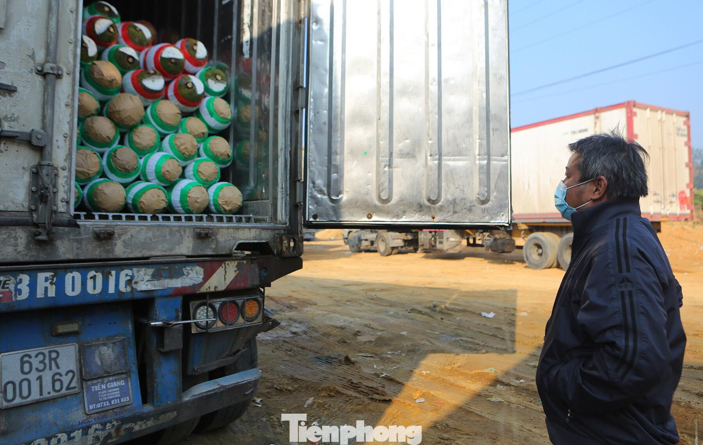 Nhiều xe chở hàng hoa quả do lưu bãi lâu, hàng xuống mã, có nguy cơ phải "quay đầu" về nội địa để tiêu thụ. Ảnh: Duy Chiến