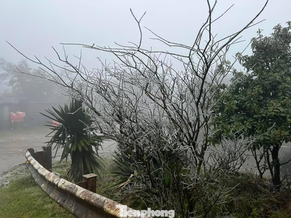 Dự báo rét đậm, rét hại xảy ra ở Lạng Sơn kéo dài đến giữa tuần sau, trên các đỉnh núi cao xứ Lạng tiếp tục sẽ có băng tuyết với những hiện tượng kỳ thú. Trong ảnh: Các công trình xây dựng, nhà cửa, cây cối đón du khách bằng những làn băng tuyết mỏng trên đỉnh Mẫu Sơn. Ảnh: B.B