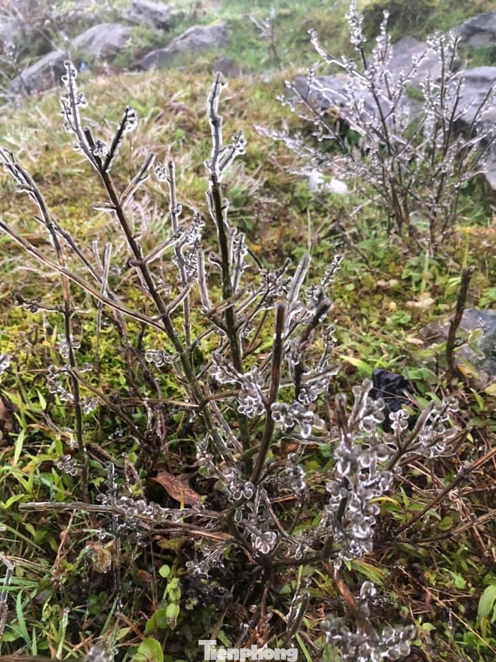 Với nhiệt độ tiếp tục giảm sâu, mưa nhỏ dần có thể trưa nay, băng tuyết sẽ dày hơn