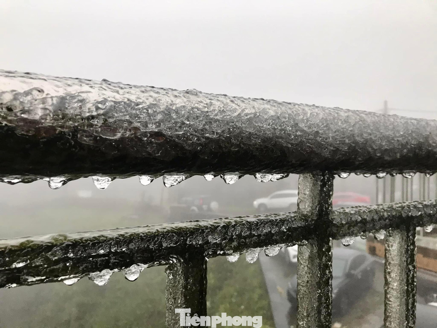 Do thời tiết khắc nghiệt, con đường nhỏ khó đi, trơn trượt, mù trời nên các du khách sử dụng phương tiện đi lên, xuống Khu du lịch Mẫu Sơn cẩn thận, giữ ấm cho người. Trong ảnh: Băng tuyết đã "đậu" trên lan can, hàng rào nhà trên Khu du lịch Mẫu Sơn (huyện Lộc Bình). Ảnh: L. Huy