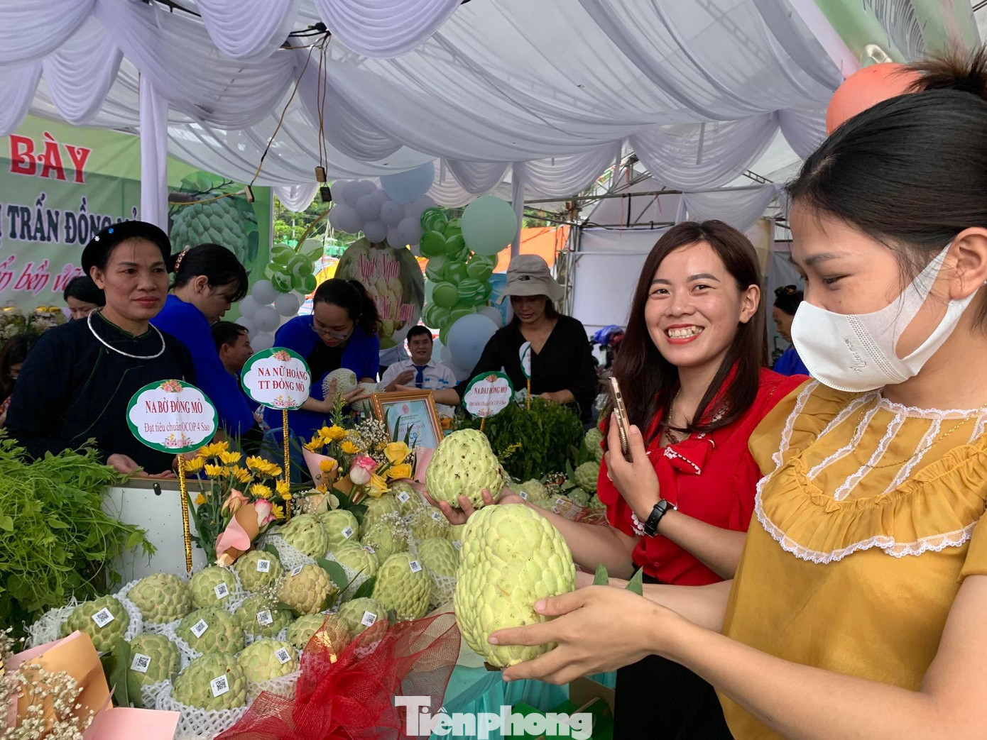 Quả na Chi Lăng nức tiếng trong và ngoài nước - Ảnh: Duy Chiến Quả na Chi Lăng nức tiếng trong và ngoài nước - Ảnh: Duy Chiến