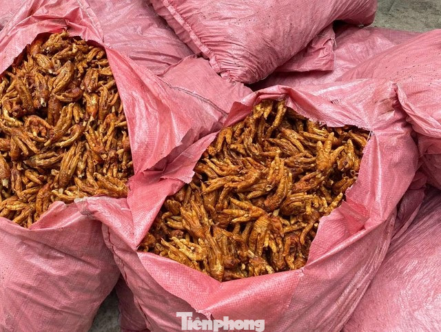 Tang vật trên 1.5 tấn chân gà vừa bị ngăn chặn trên địa bàn tỉnh Lạng Sơn.