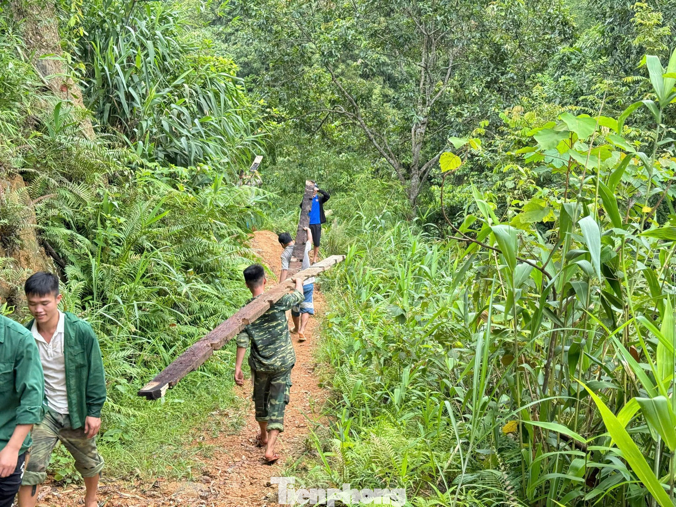Vận chuyển cây gỗ xây dựng nhà tạm- chỗ ở an toàn cho dân.