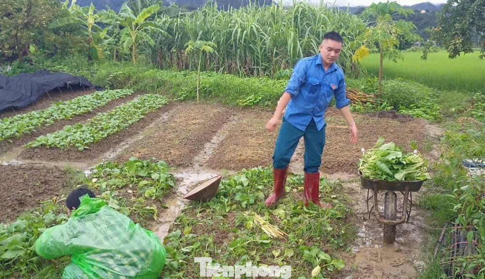 Chung tay giúp sức phòng chống bão lụt.