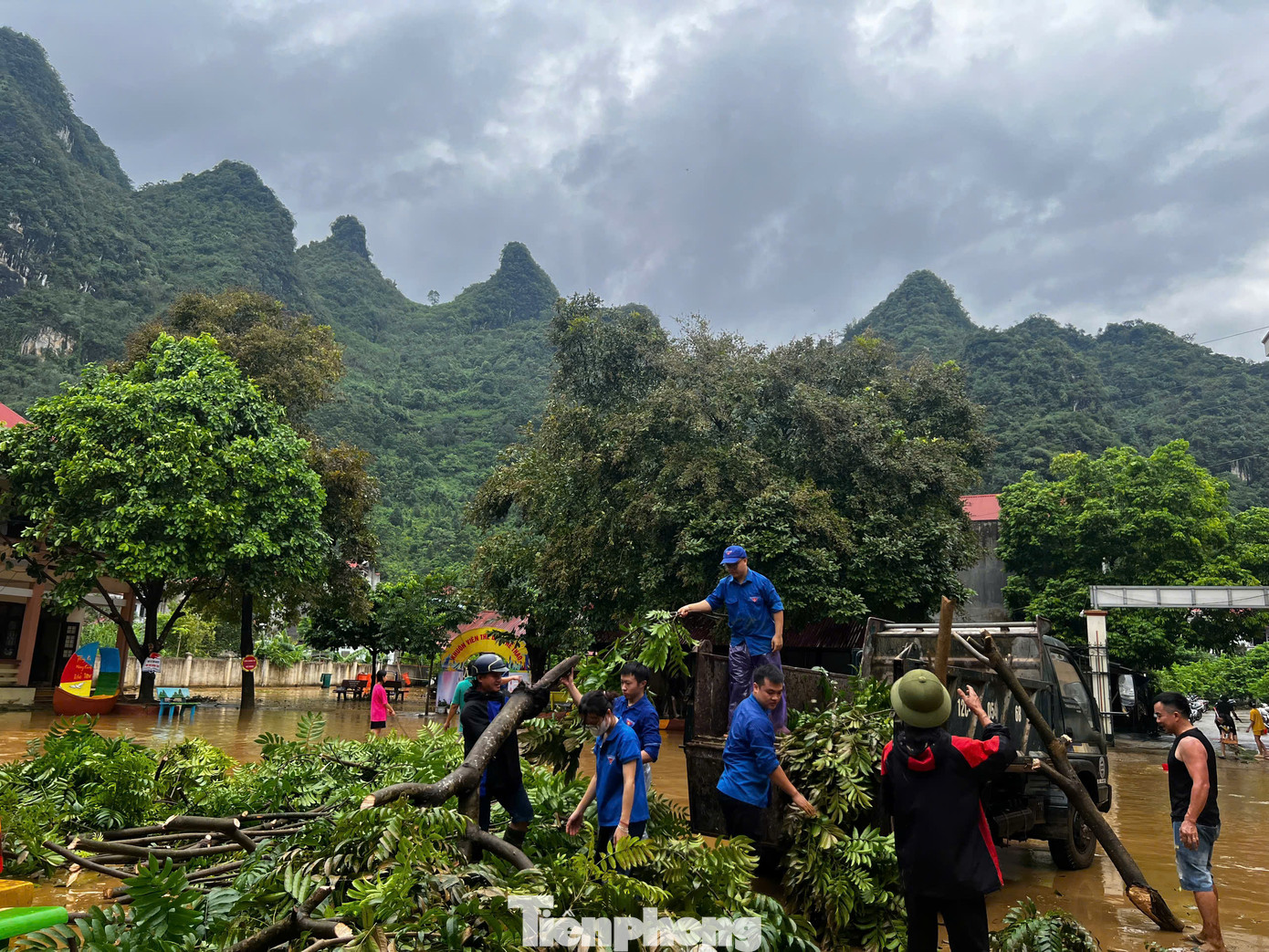 Cắt tỉa, dọn dẹp cây cối gãy đổ.