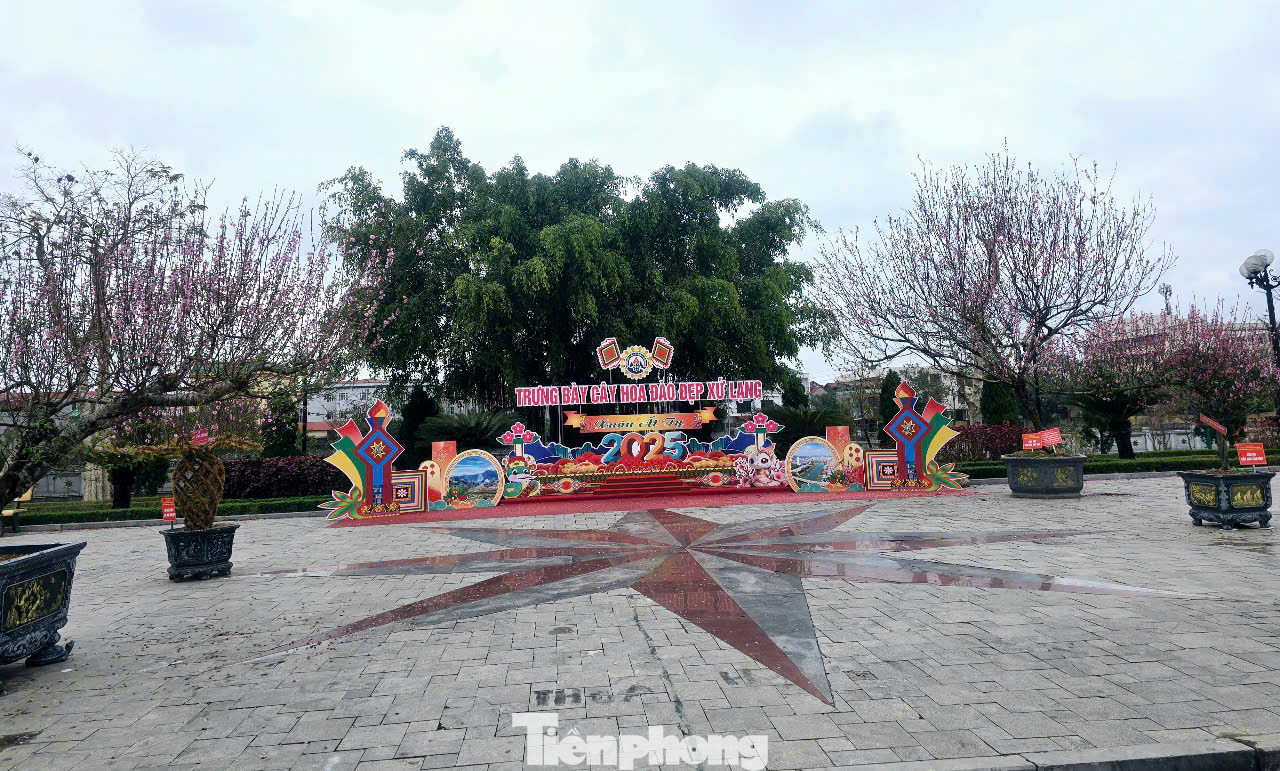 Ấn tượng Khu trưng bày, triển lãm cây hoa đào đẹp Lạng Sơn. Ấn tượng Khu trưng bày, triển lãm cây hoa đào đẹp Lạng Sơn.