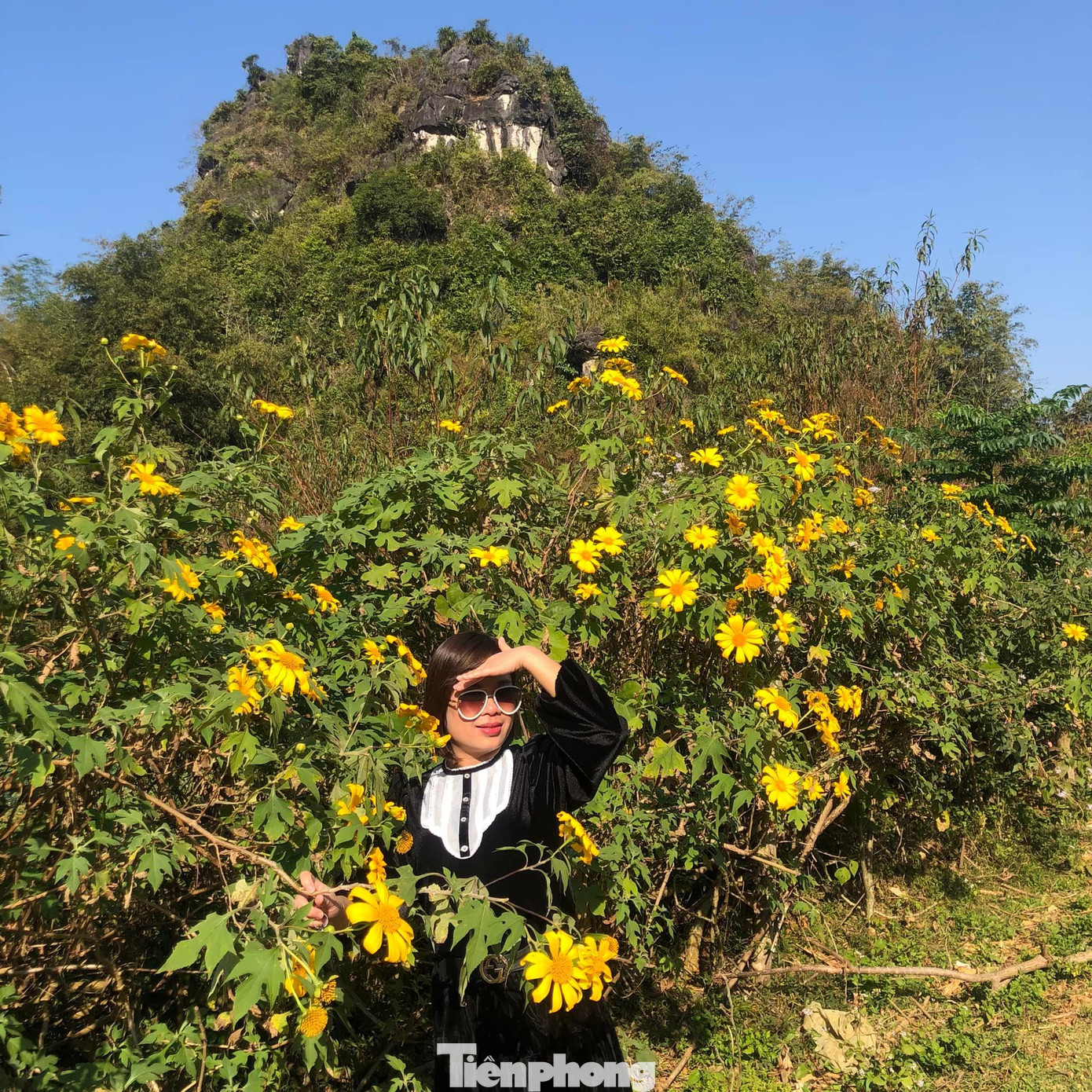 Không chỉ ở Sài Hồ, một số địa phương khác trong tỉnh Lạng Sơn như: Cao Lộc, Chi Lăng, Văn Lãng... nhiều vạt hoa nở "vô tư" ven đường, trong góc đồi, khe núi -Ảnh: Duy Chiến