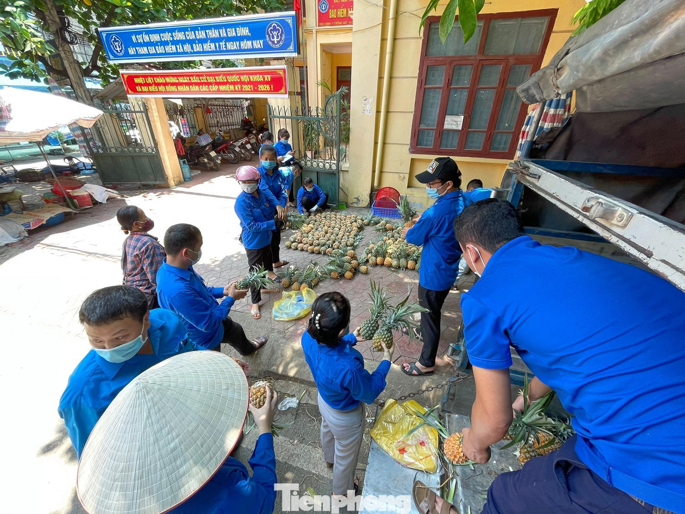 Với sự tích cực của đoàn viên và sự hưởng ứng của người dân, hàng tấn quả tươi sẽ được đến tay người tiêu dùng trong ngày đầu tháng 6 này.