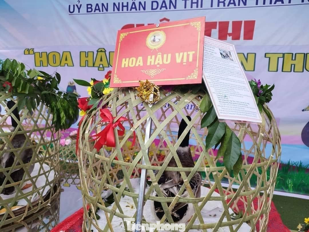 Tranh cãi xung quanh danh xưng "Hoa hậu vịt". Tranh cãi xung quanh danh xưng "Hoa hậu vịt".