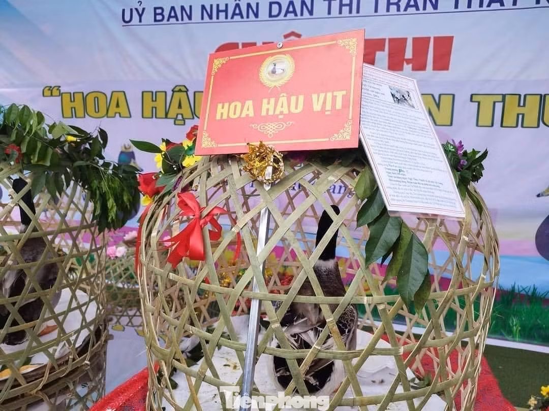 Tranh cãi xung quanh danh xưng "Hoa hậu vịt". Tranh cãi xung quanh danh xưng "Hoa hậu vịt".