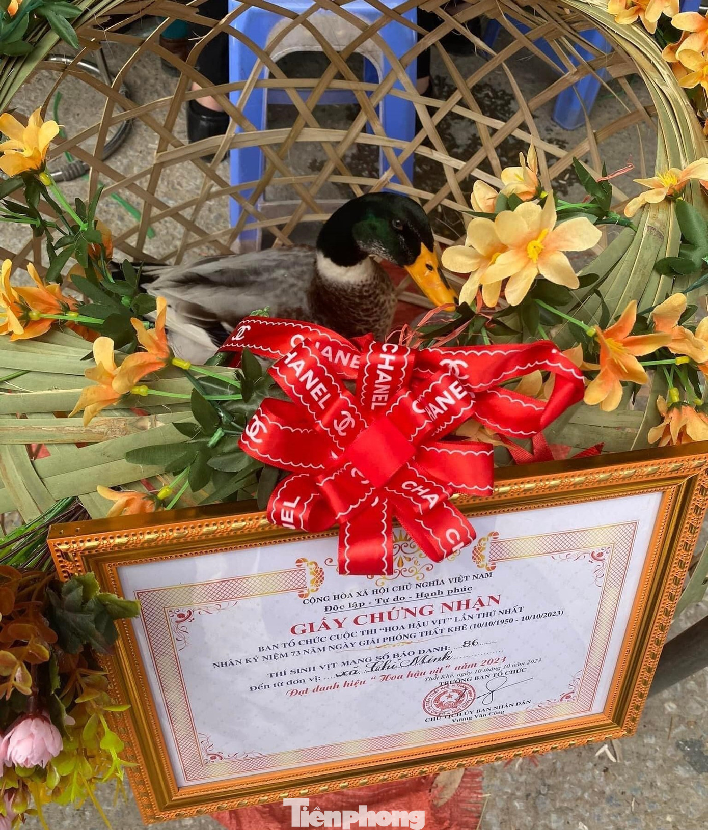 "Hoa hậu vịt" được trao cho xã Chí Minh, huyện Tràng Định. "Hoa hậu vịt" được trao cho xã Chí Minh, huyện Tràng Định.