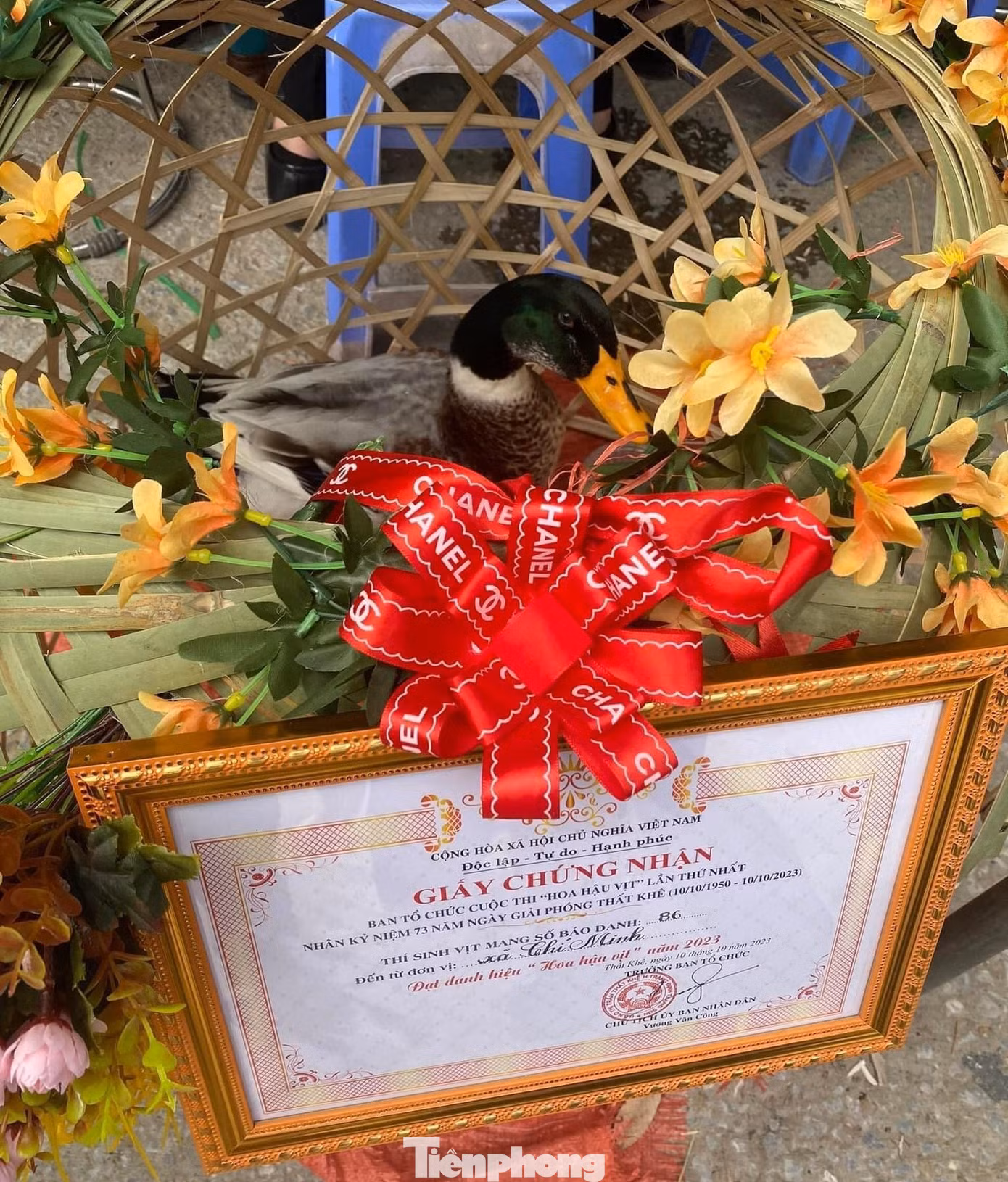 "Hoa hậu vịt" được trao cho xã Chí Minh, huyện Tràng Định. "Hoa hậu vịt" được trao cho xã Chí Minh, huyện Tràng Định.