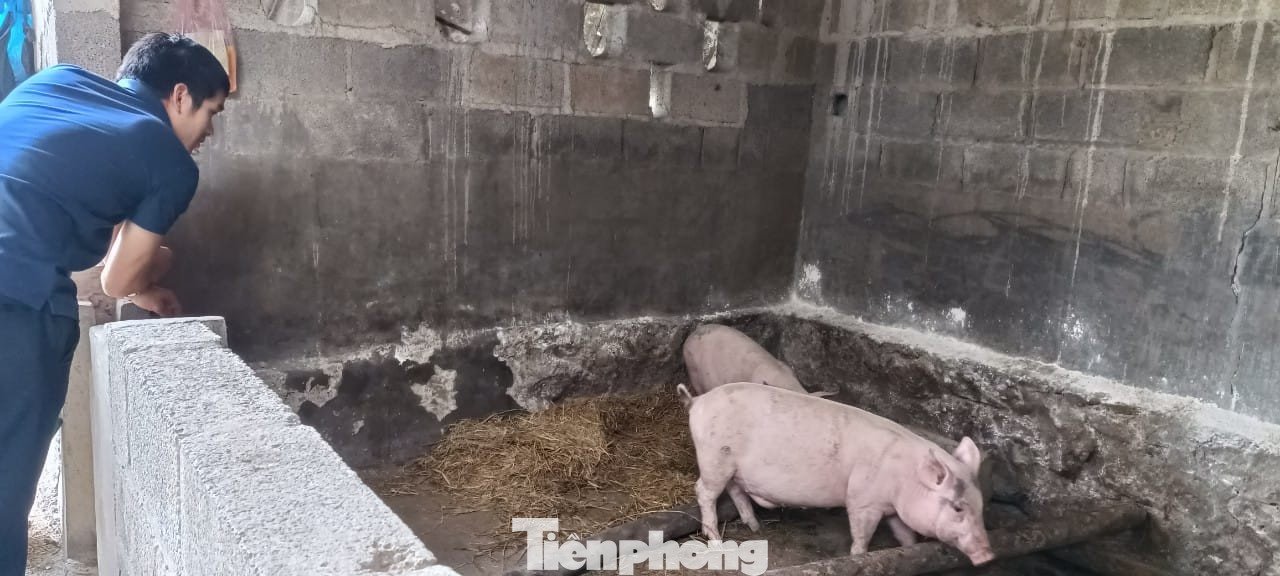 Ngoài những giờ lý thuyết, các học viên còn tham gia các buổi thực hành. Ảnh: Duy Chiến