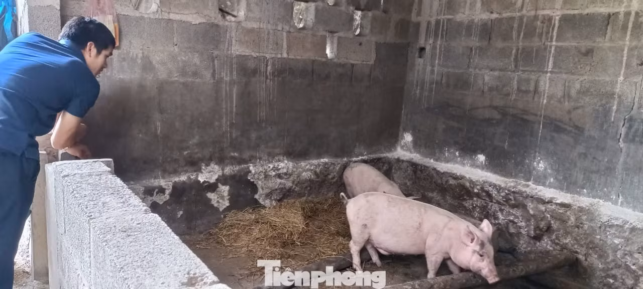 Ngoài những giờ lý thuyết, các học viên còn tham gia các buổi thực hành. Ảnh: Duy Chiến Ngoài những giờ lý thuyết, các học viên còn tham gia các buổi thực hành. Ảnh: Duy Chiến