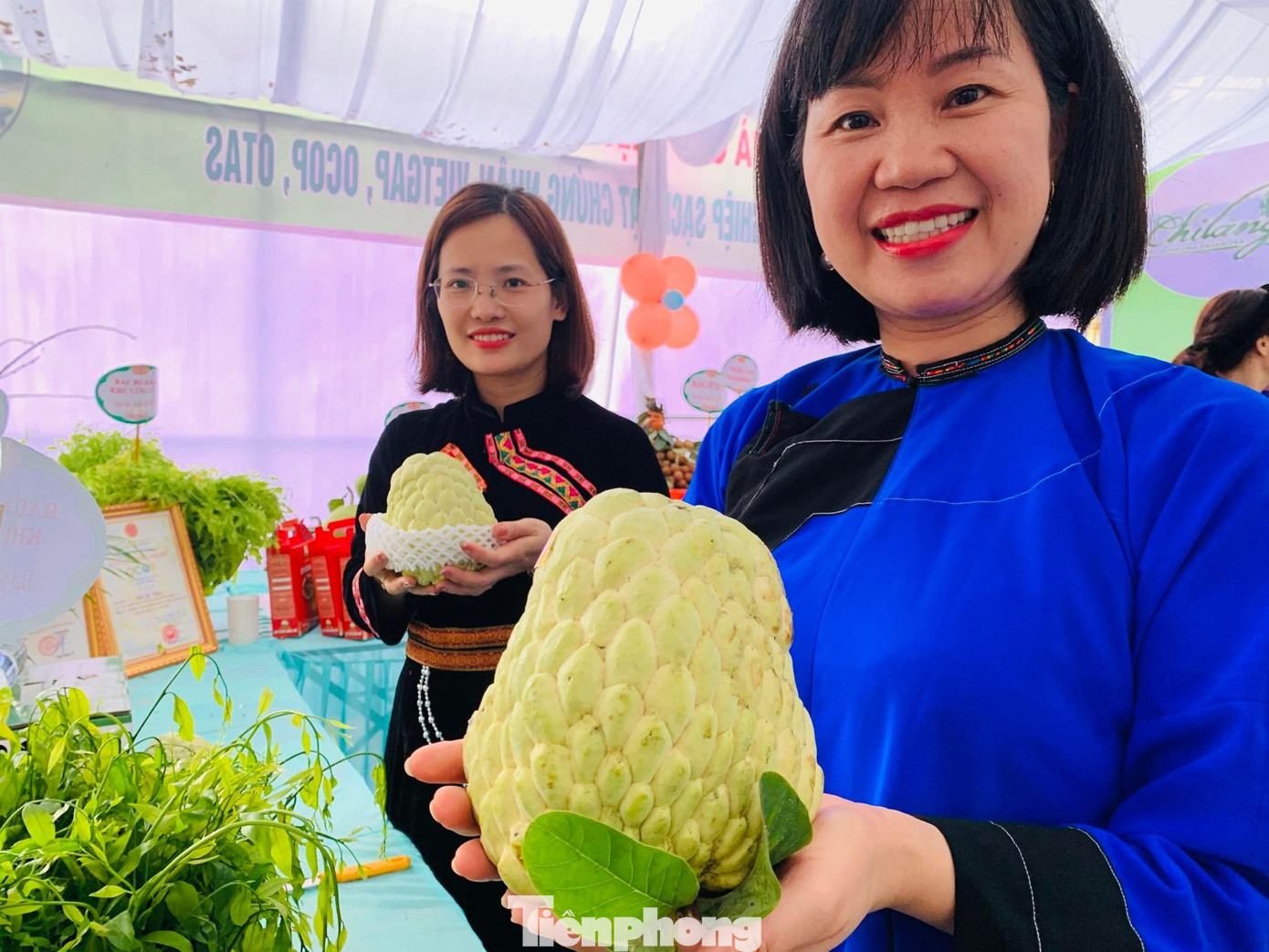 Người nông dân Chi Lăng phấn khởi trước sản phẩm cây đặc sản to, đẹp, riêng có của quê hương -Ảnh: Duy Chiến Người nông dân Chi Lăng phấn khởi trước sản phẩm cây đặc sản to, đẹp, riêng có của quê hương -Ảnh: Duy Chiến